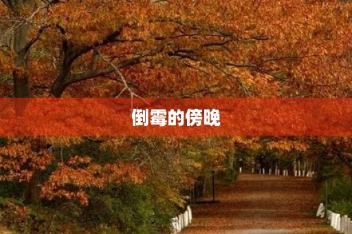 倒霉的傍晚 倒霉的傍晚