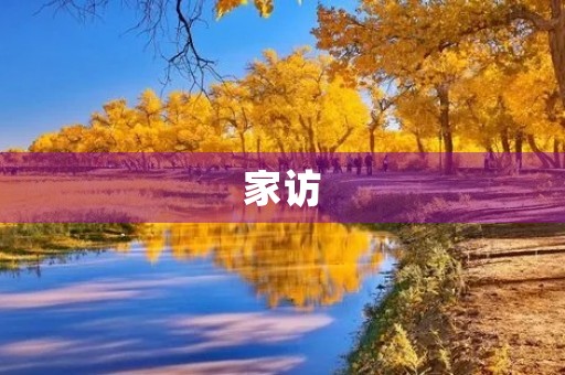 家访 家访