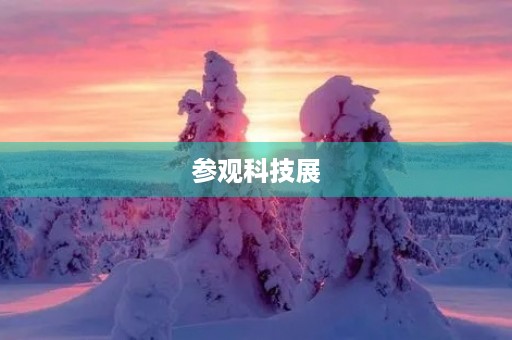 参观科技展 参观科技展