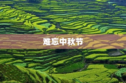 难忘中秋节 难忘中秋节
