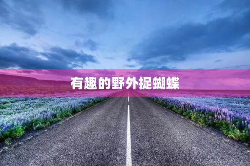 有趣的野外捉蝴蝶 有趣的野外捉蝴蝶