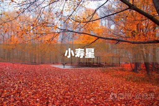 小寿星 小寿星