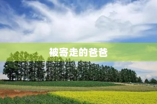被寄走的爸爸 被寄走的爸爸