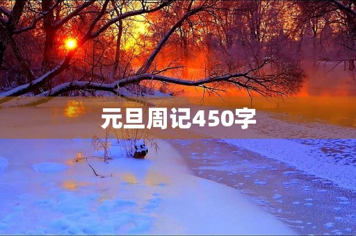 元旦周记450字 元旦周记450字