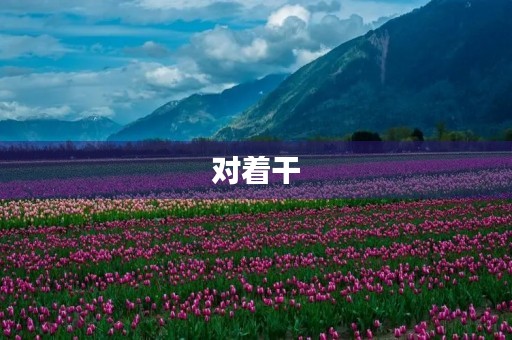 对着干 对着干