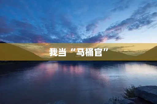 我当“马桶官” 我当“马桶官”