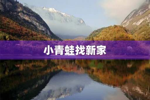 小青蛙找新家