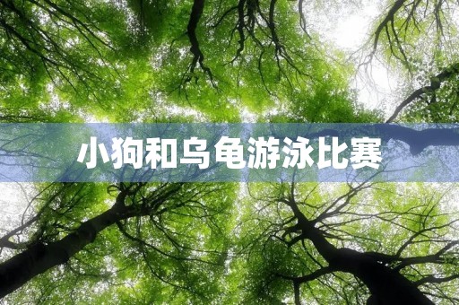 小狗和乌龟游泳比赛 小狗和乌龟游泳比赛