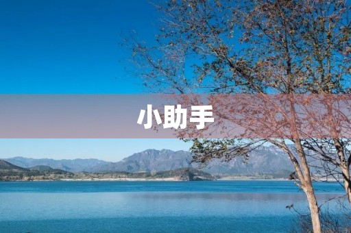 小助手 小助手
