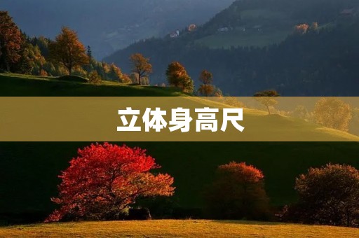 立体身高尺
