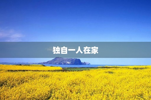 独自一人在家 独自一人在家