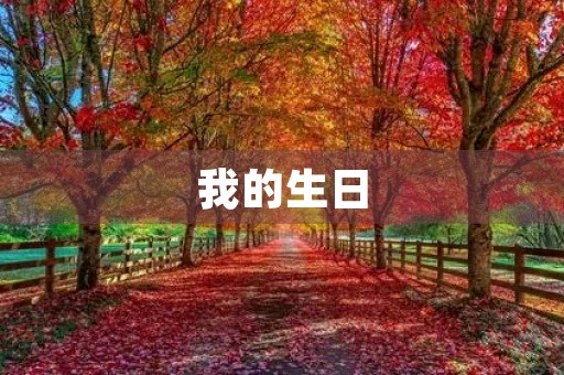 我的生日 我的生日