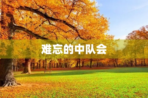 难忘的中队会 难忘的中队会