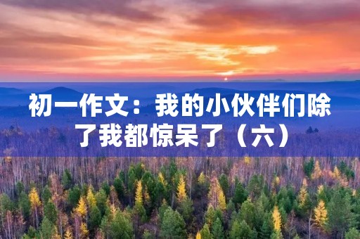 初一作文:我的小伙伴们除了我都惊呆了(六) 初一作文:我的小伙伴们除了我都惊呆了(六)