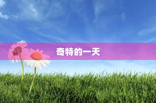 奇特的一天 奇特的一天