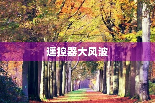 遥控器大风波 遥控器大风波