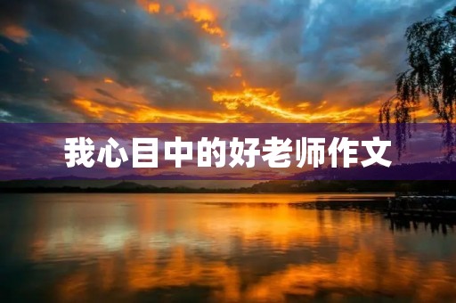 我心目中的好老师作文
