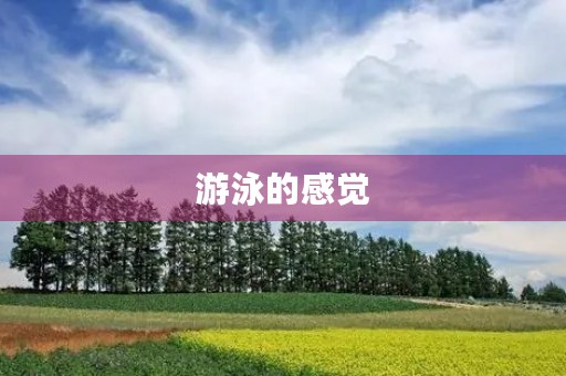 游泳的感觉 游泳的感觉