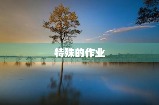 特殊的作业 特殊的作业