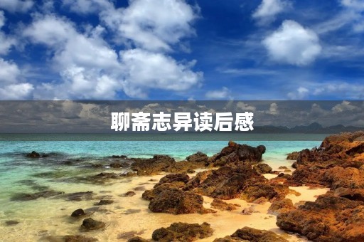 聊斋志异读后感