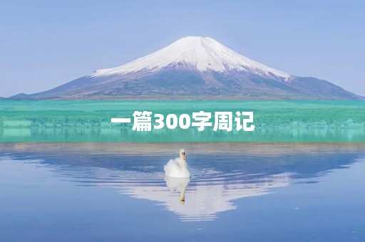 一篇300字周记 一篇300字周记
