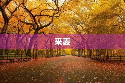 采菱 采菱