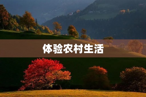体验农村生活 体验农村生活