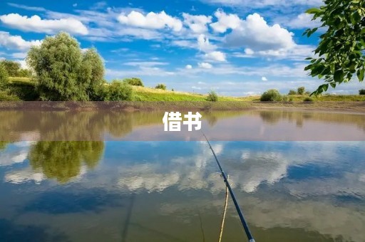 借书 借书