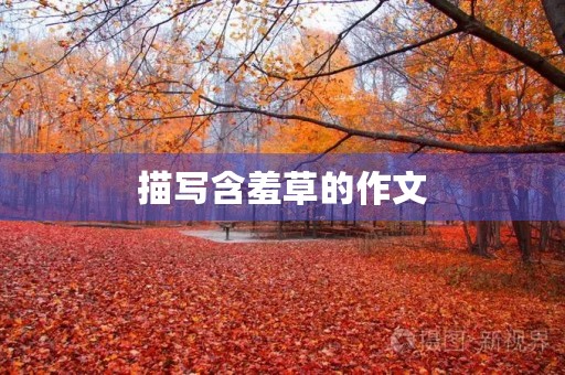 描写含羞草的作文