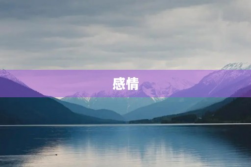 感情 感情