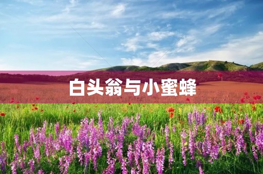 白头翁与小蜜蜂 白头翁与小蜜蜂