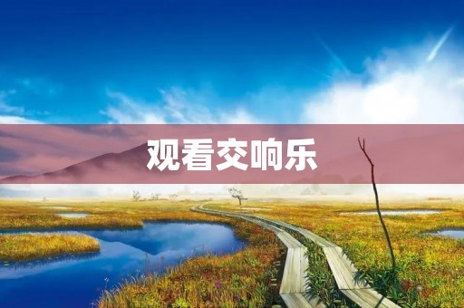 观看交响乐 观看交响乐