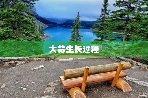 大蒜生长过程 大蒜生长过程