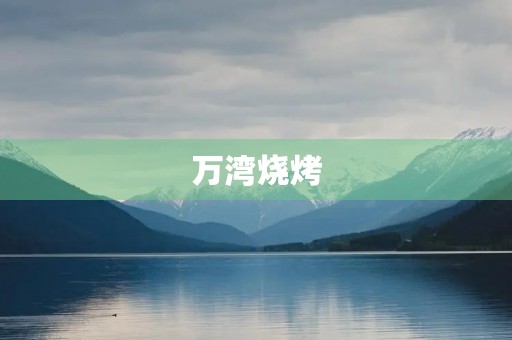 万湾烧烤 万湾烧烤