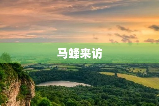 马蜂来访 马蜂来访