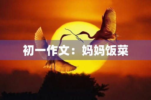 初一作文：妈妈饭菜