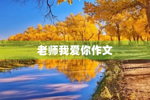 老师我爱你作文