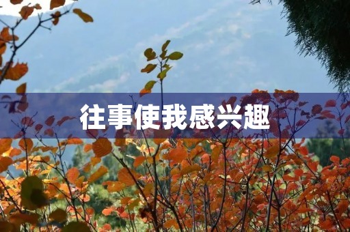 往事使我感兴趣
