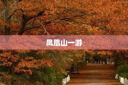 凤凰山一游 凤凰山一游