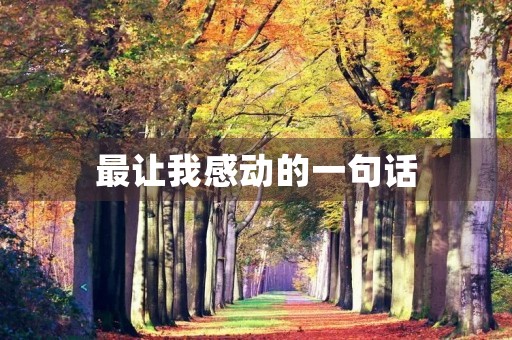 最让我感动的一句话 最让我感动的一句话