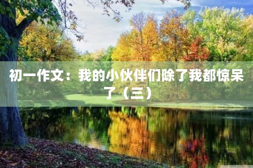 初一作文:我的小伙伴们除了我都惊呆了(三) 初一作文:我的小伙伴们除了我都惊呆了(三)