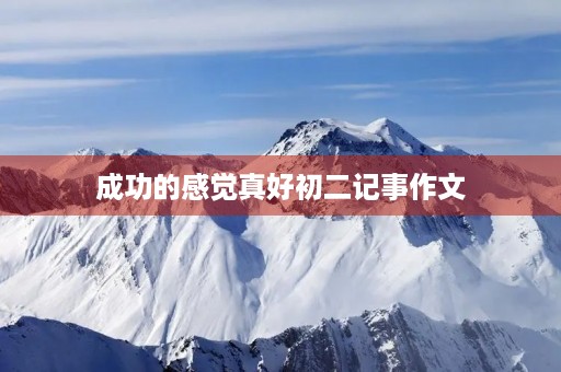 成功的感觉真好初二记事作文 成功的感觉真好初二记事作文