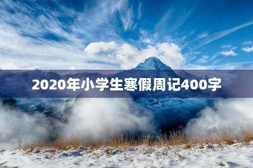 2020年小学生寒假周记400字
