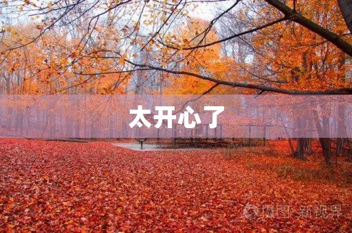 太开心了 太开心了