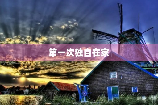 第一次独自在家 第一次独自在家