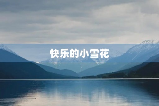 快乐的小雪花 快乐的小雪花