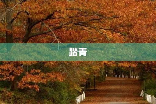 踏青 踏青