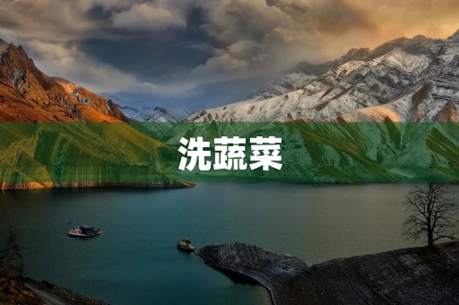 洗蔬菜 洗蔬菜