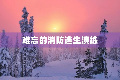 难忘的消防逃生演练 难忘的消防逃生演练