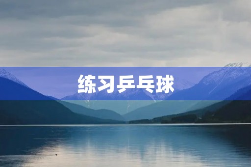 练习乒乓球 练习乒乓球